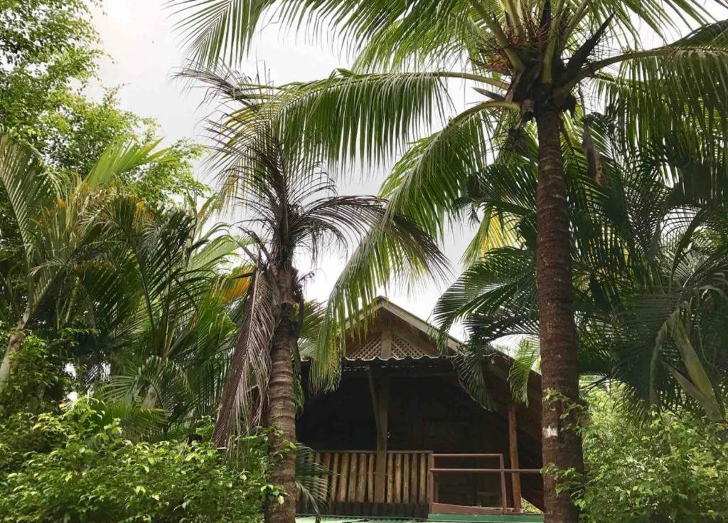 Beach Cabinas Playa Santa Teresa  Экстерьер фото